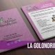 LA GOLONDRINA - FLYER - IMAGEN DE CATEGORÍA